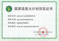 State-level Spark Program Certificate